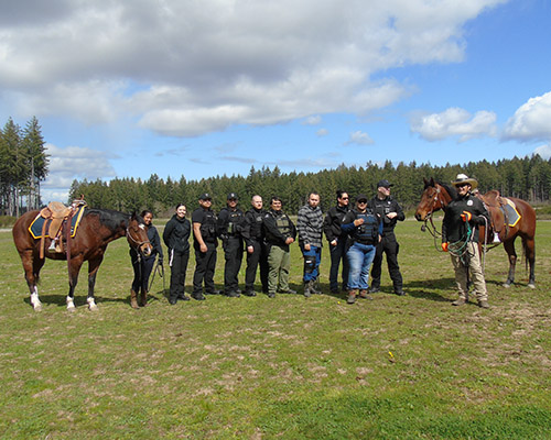 HorseWarriorsAndSPDHorsePatrolDemonstration2022_8.jpg