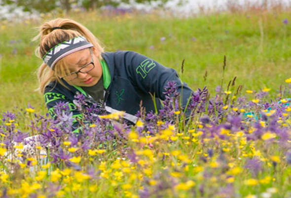 Woman Harvesting Native Wildflowers