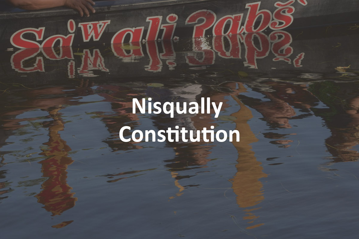 Home Nisqually Indian Tribe