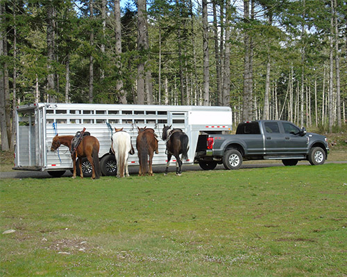 HorseWarriorsAndSPDHorsePatrolDemonstration2022_1.jpg