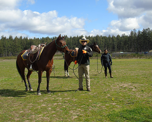 HorseWarriorsAndSPDHorsePatrolDemonstration2022_3.jpg