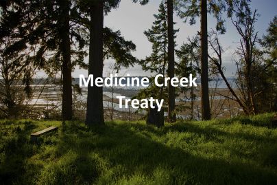 Medicine Creek Treaty